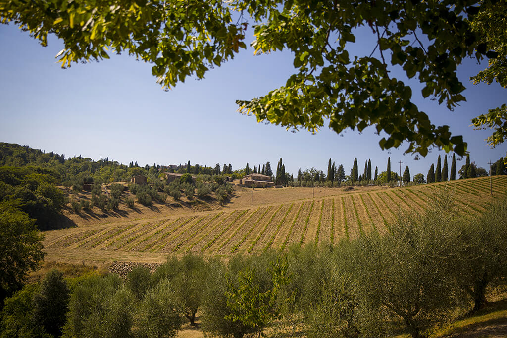 wedding in Tuscany countryside