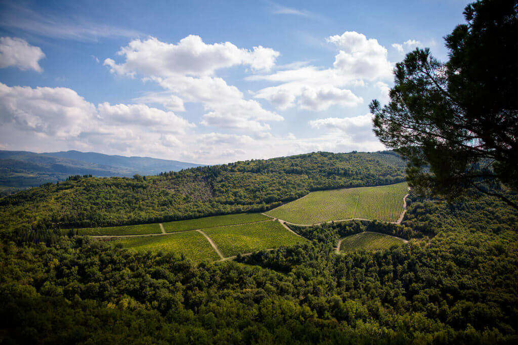 Panorama from Castello Vicchiomaggio