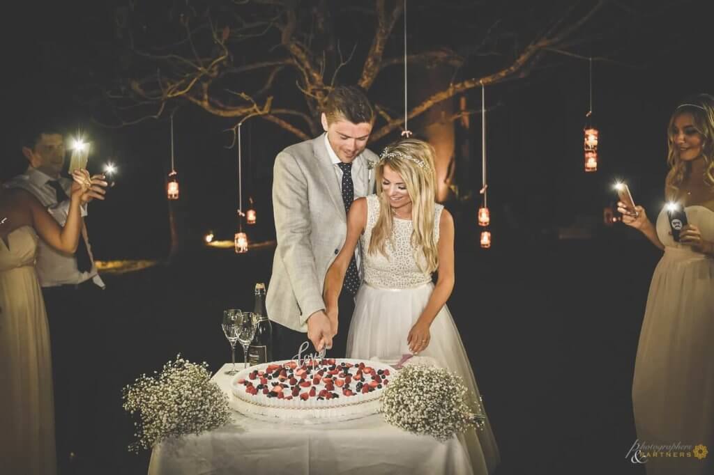 The groom and the bride cut the cake