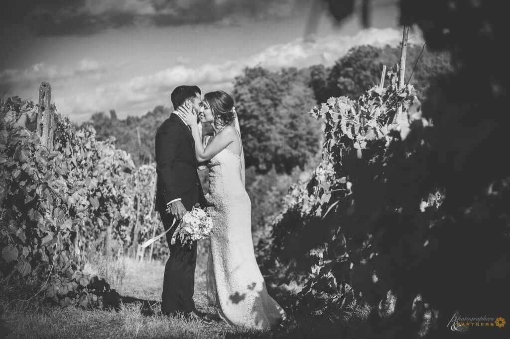 The bride kiss the groom in the vineyard
