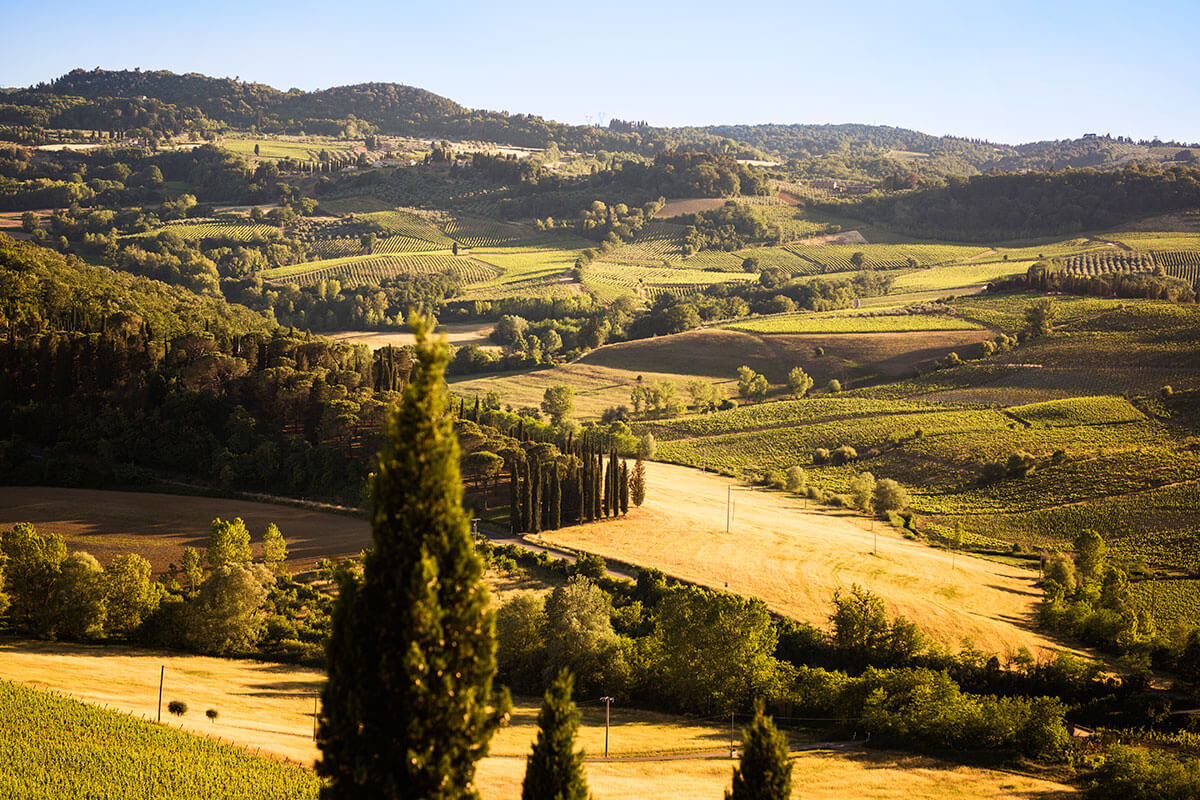 Wonderful panorama of Tuscan country