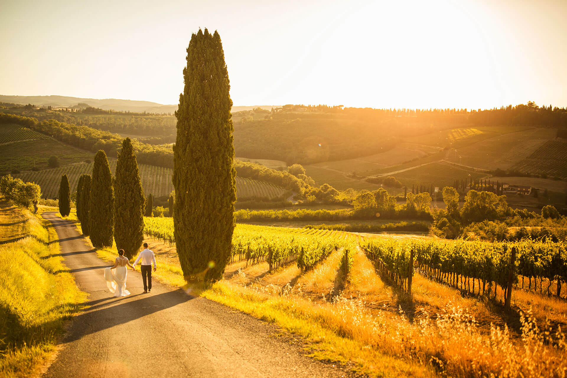 Anya & James walk through the vineyard