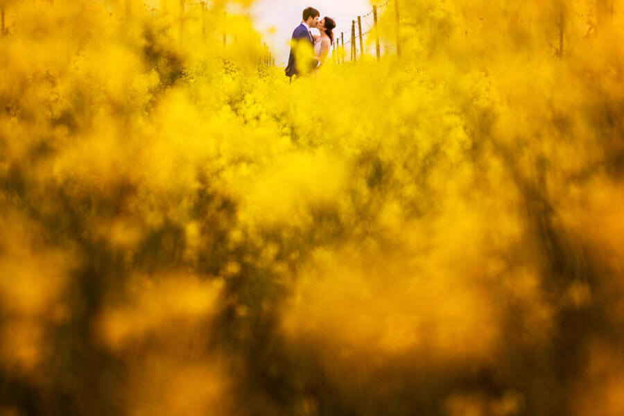 wedding in spring in Tuscany