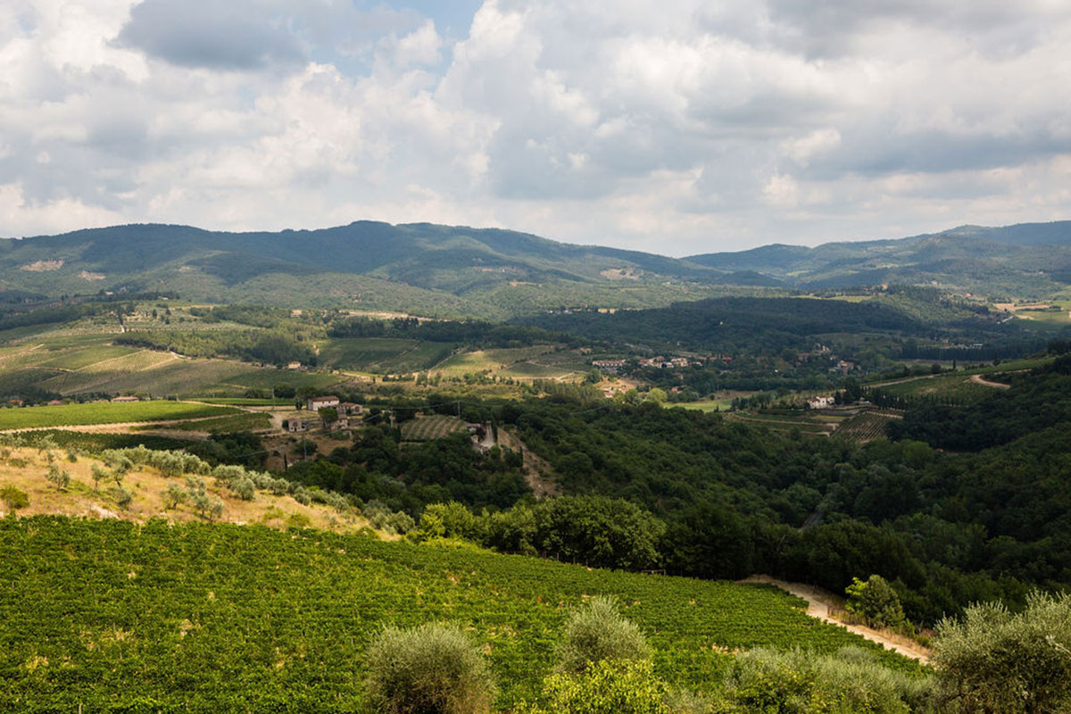 Wedding in the heart of Chianti