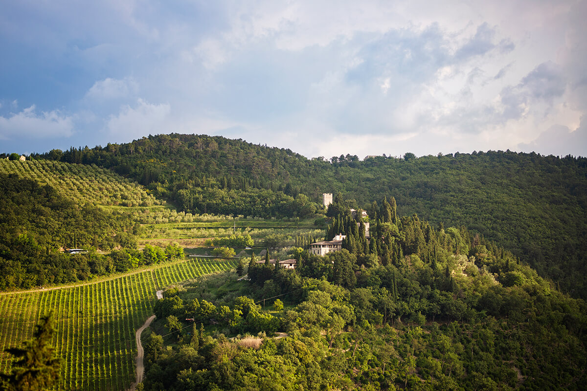 Wedding overlooking tuscan vineyards