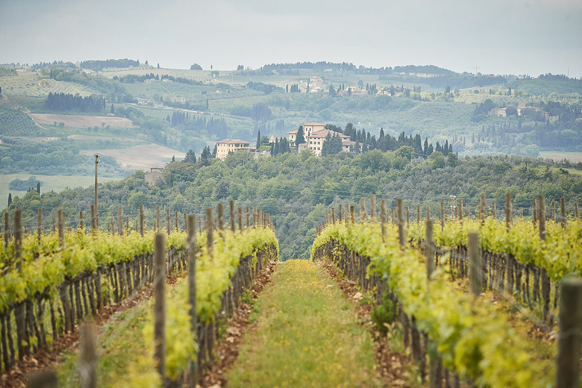 Wedding in Italy