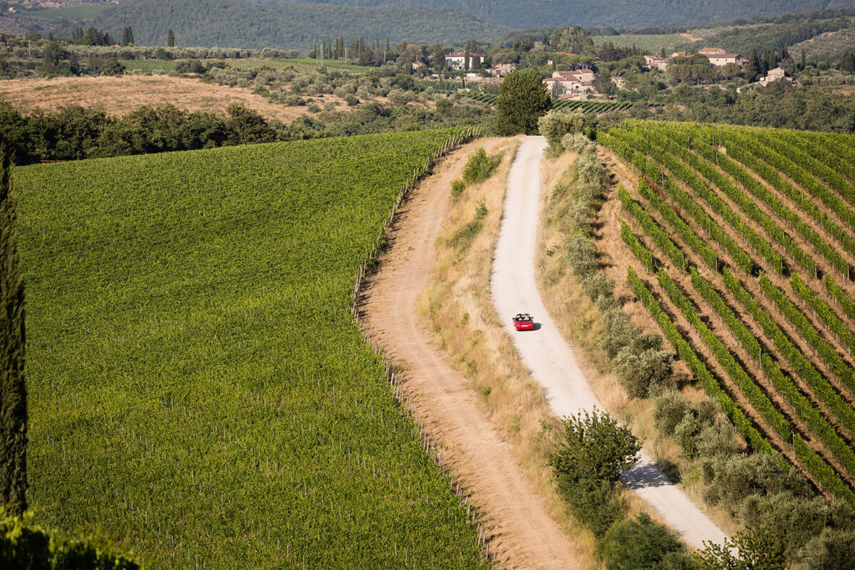 Wedding in the heart of Chianti