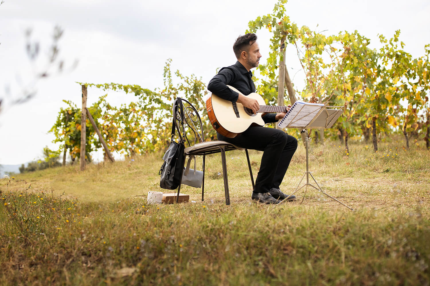 Wedding in the vineyards