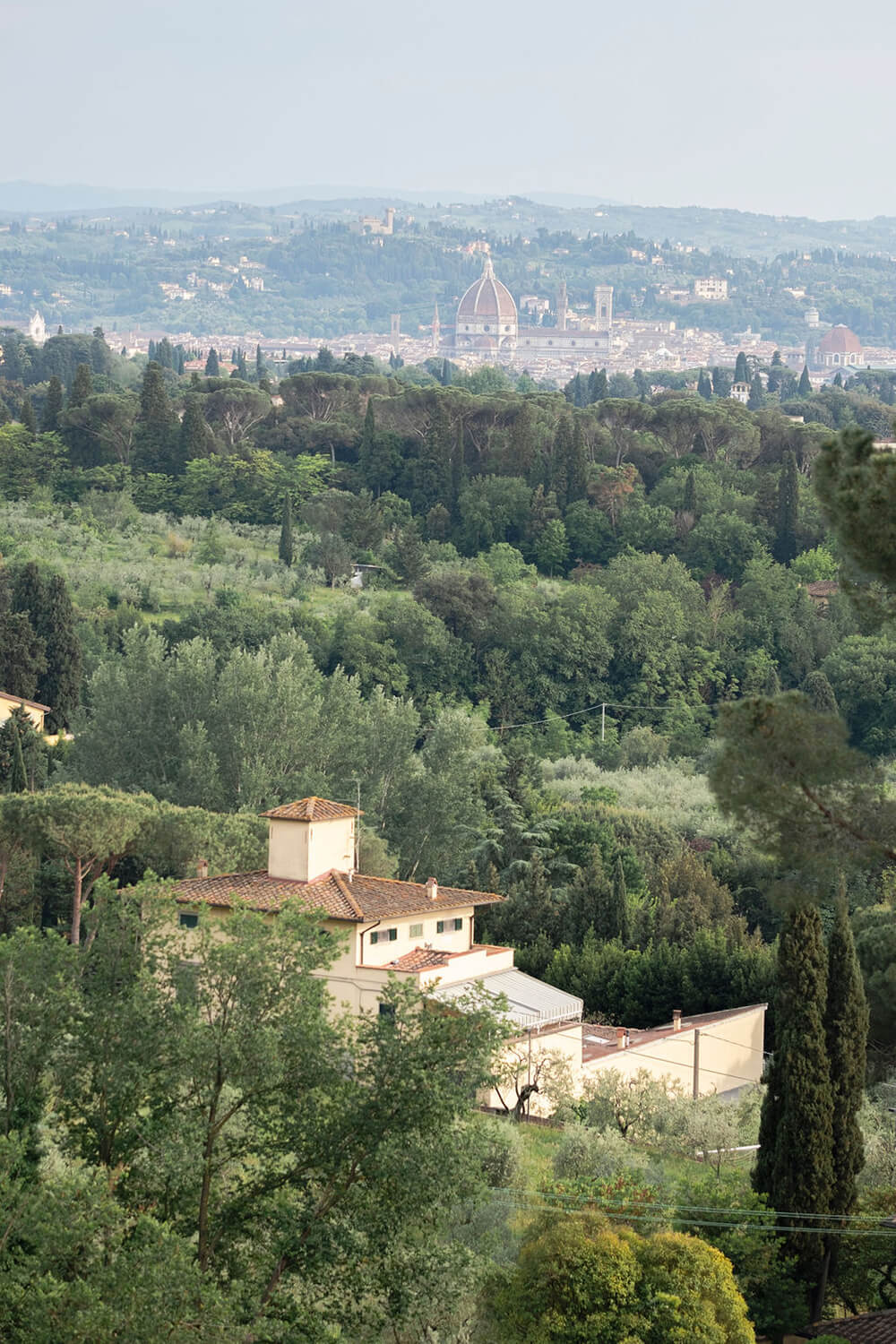 Wedding in the Florence hills