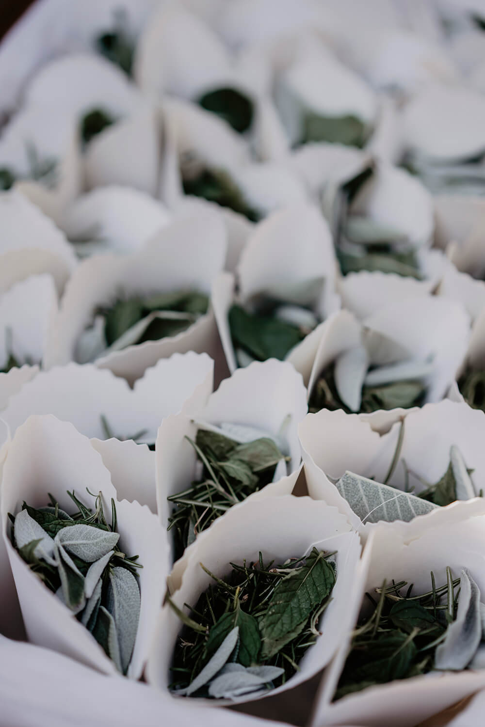 September wedding in Tuscany